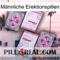 Männliche Erektionspillen 33